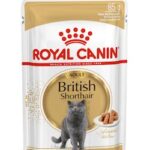 پوچ گربه مدل “Adult British Shorthair” رویال کنین - ۸۵ گرمی