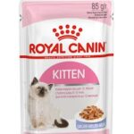 پوچ گربه مدل "Kitten Up to 12 Months" رویال کنین