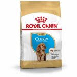 غذا خشک سگ مدل "Puppy Cocker" رویال کنین - ۳ کیلوگرمی