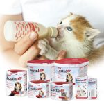 شیر خشک گربه مدل "Lactol Kitten Milk" بیفار - Image 3