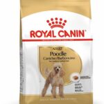 غذا خشک سگ مدل "Adult Poodle Caniche/Barbocino" رویال کنین