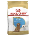 غذا خشک سگ مدل "Puppy Poodle Caniche/Barbocino" رویال کنین