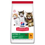 غذای خشک گربه هیلز مدل Kitten طعم مرغ وزن ۳۰۰ گرم