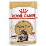 پوچ گربه رویال کنین مدل Maine Coon وزن ۸۵ گرم