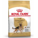 غذای خشک سگ رویال کنین مدل German Shepherd Adult وزن ۱۱ کیلوگرم