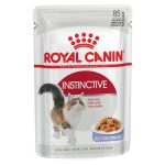 پوچ گربه رویال کنین مدل Instinctive در ژله وزن ۸۵ گرم